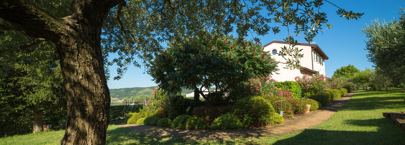 Vista di Casa Rosa dagli ulivi dell'agriturismo