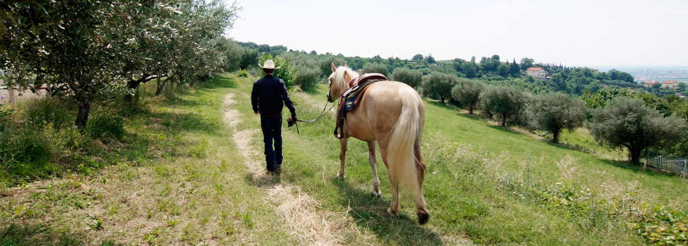 passeggiata a cavallo nella natura